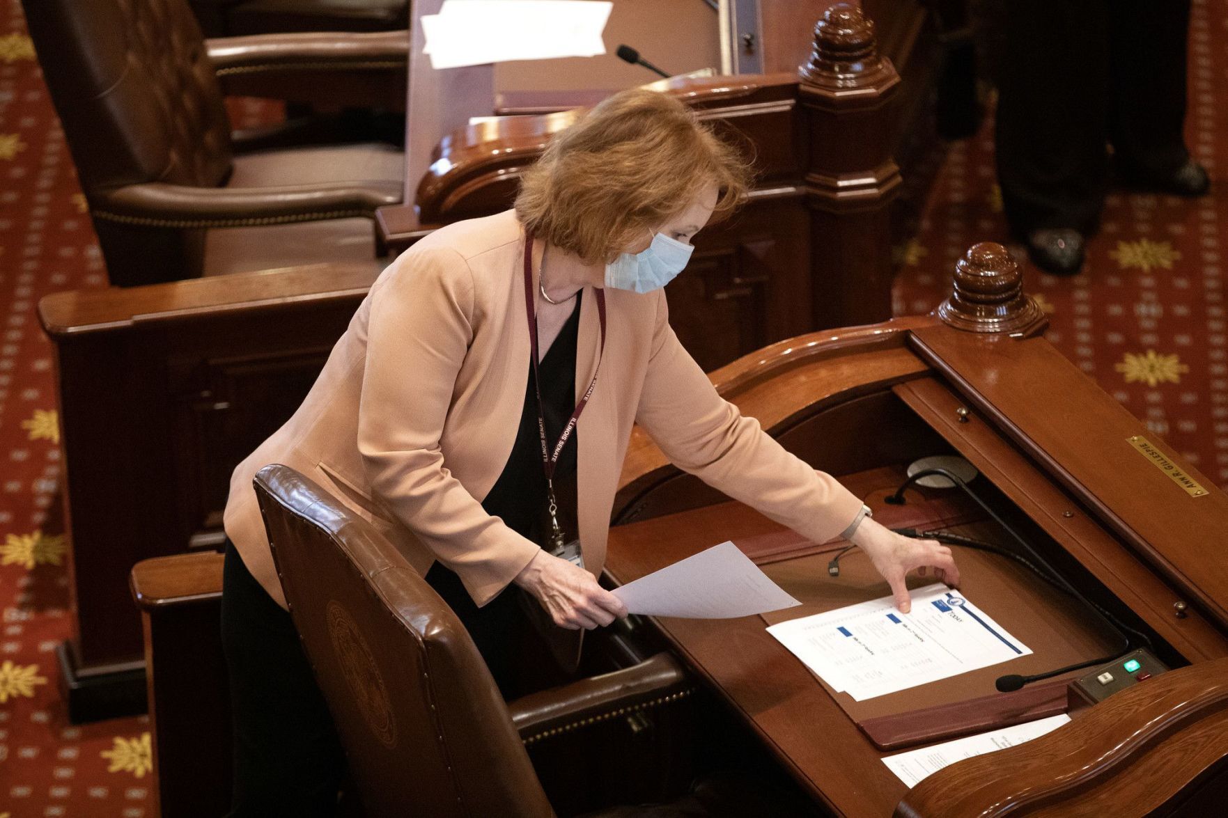 Sen. Ann Gillespie
